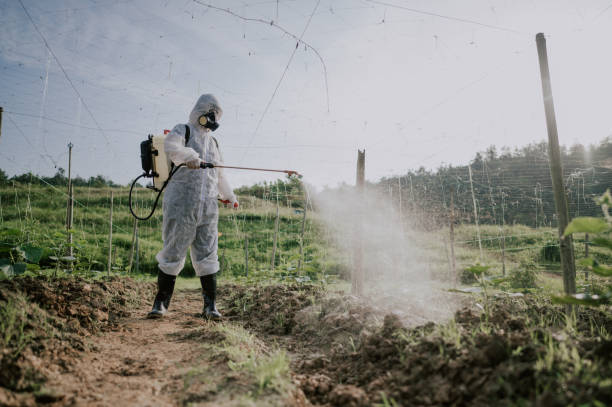 Best Mosquito Control Services  in Torrington, WY