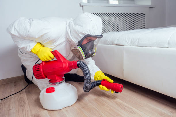 Best Flea Control Services  in Torrington, WY