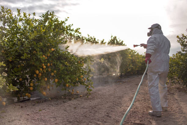 Reliable Torrington, WY Pest Control Solutions