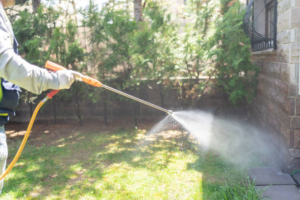 Best Best Pest Control Companies  in Torrington, WY