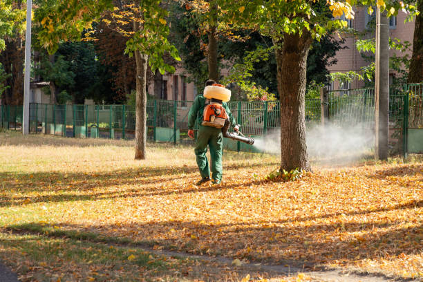 Best Residential Pest Control  in Torrington, WY