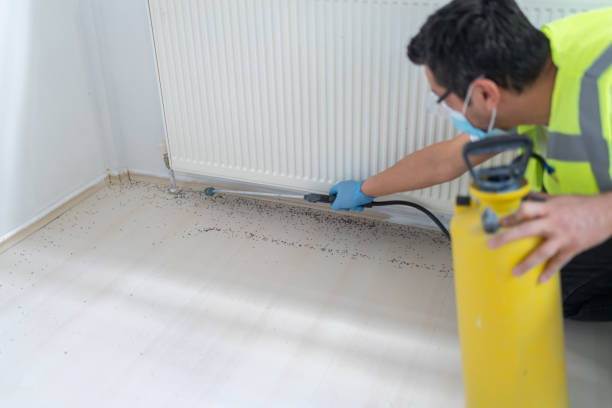  Torrington, WY Pest Control Pros