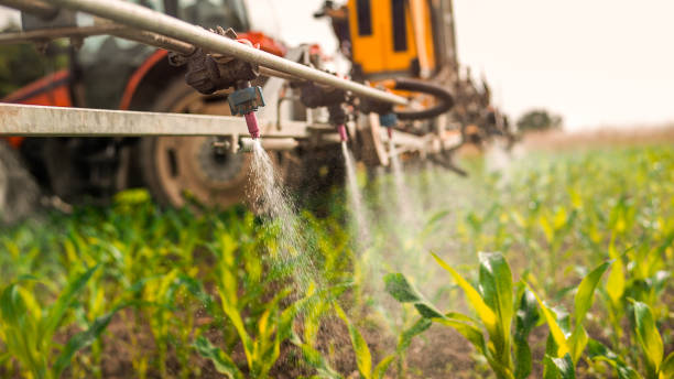 Best Pest Prevention Services  in Torrington, WY