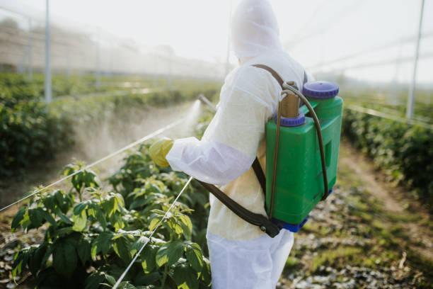 Best Ant Control Services  in Torrington, WY